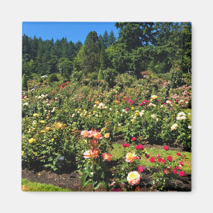 Imán Portland Rosa Garden, OR