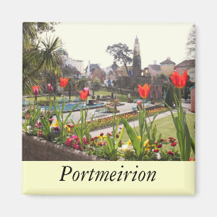 Imán Portmeirion