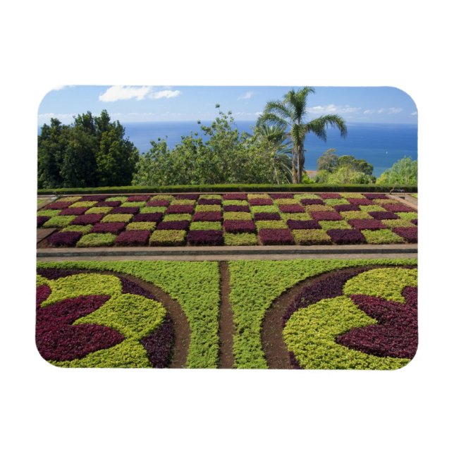 Imán Portugal, Isla de Madeira, Funchal. Botánico (Horizontal)