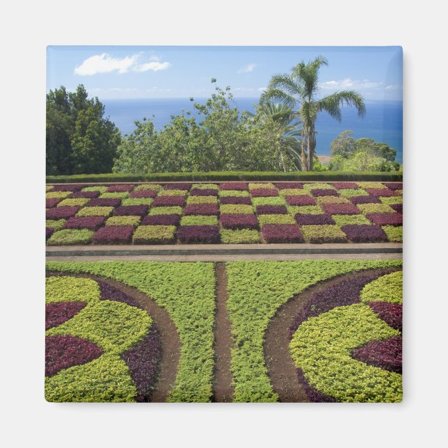 Imán Portugal, Isla de Madeira, Funchal. Botánico (Frente)