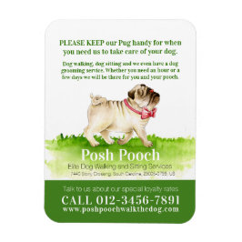 Imán Posch pooch lindo pug dog servicios de caminar