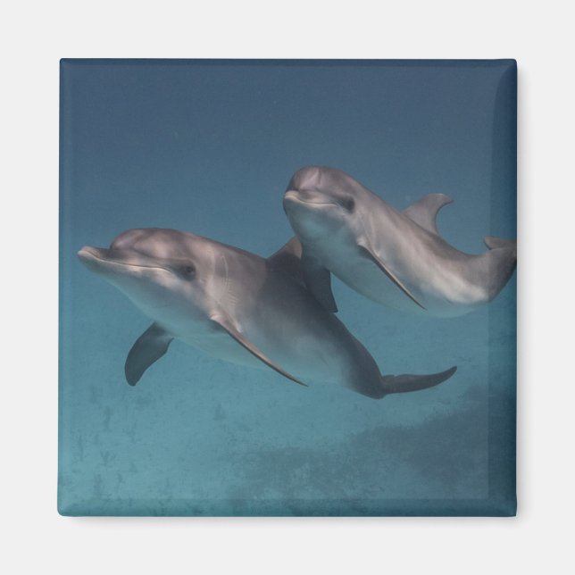 Imán Pose Jugador (Frente)