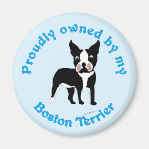 Imán Poseído orgulloso por una Boston Terrier