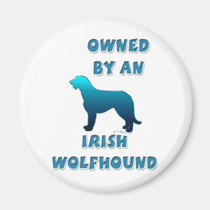 Imán Poseído por un Wolfhound irlandés