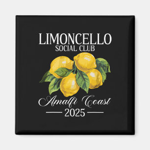 Imán Positano Italia Vacaciones Limoncello Costa Amalfi