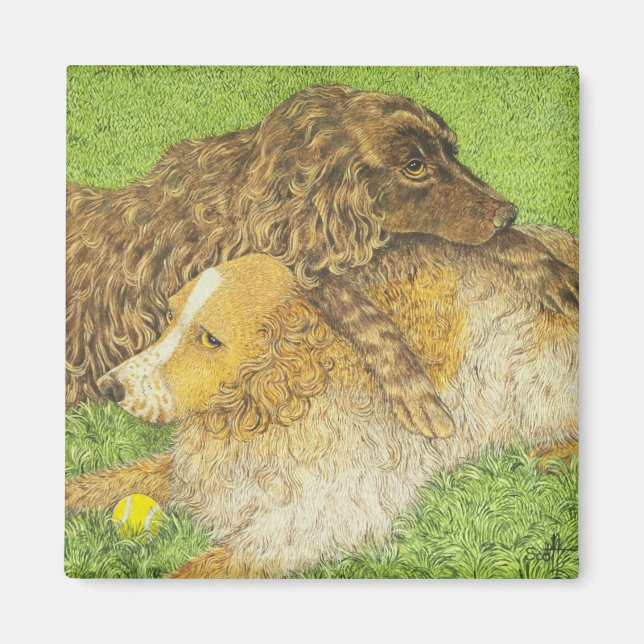 Imán Posología (Frente)