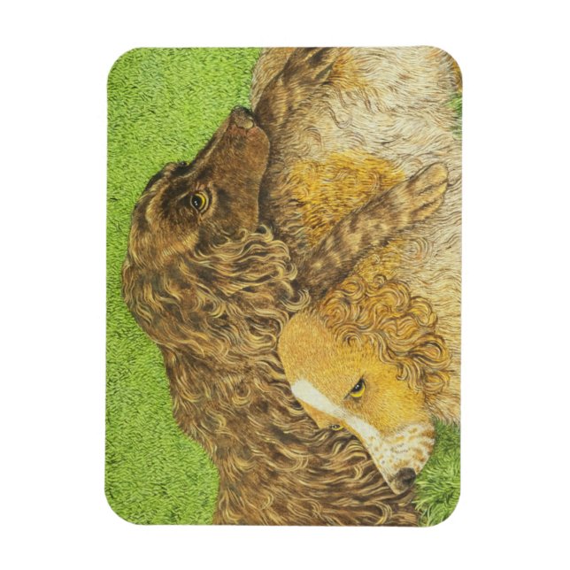 Imán Posología (Vertical)