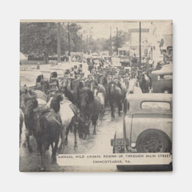 Imán Postal Chincoteague Pony Vintage 1941 (Frente)