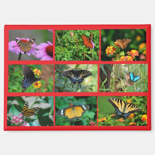 Imán Postal de las mariposas de macros (Anverso)