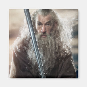 Imán Poster 2 del carácter de Gandalf