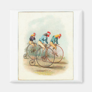 Imán Poster de bicicletas de época, gallos de penifart