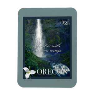 Imán Poster de Cascada de Oregon