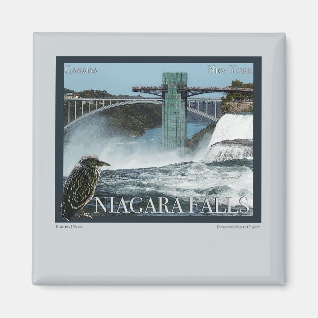 Imán Poster de las Cataratas del Niágara (Frente)