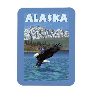 Imán Poster del viaje del vintage de AlaskaBald Eagle