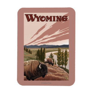 Imán Poster del viaje del vintage del bisonte del río