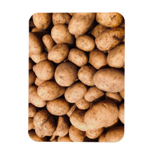 Imán Potato