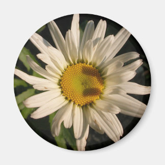 Imán Potencia de flor