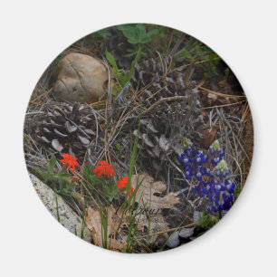 Imán Potpourri