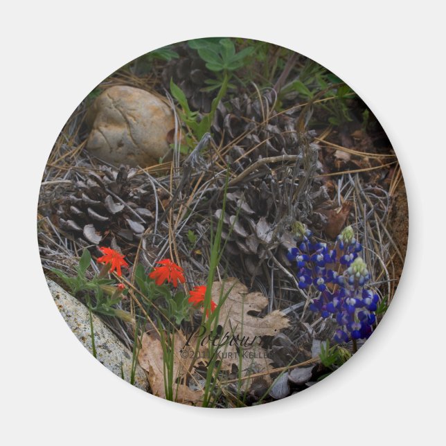 Imán Potpourri (Frente)