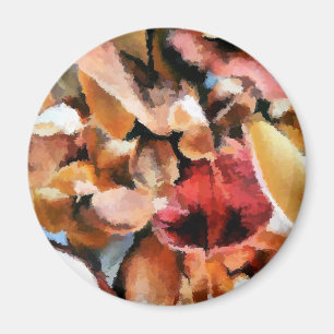 IMÁN POTPOURRI