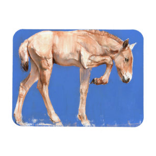 Imán Potro 2012 de Przewalski