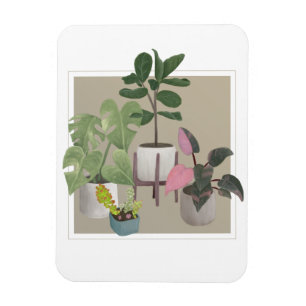 Imán Potted Houseplants