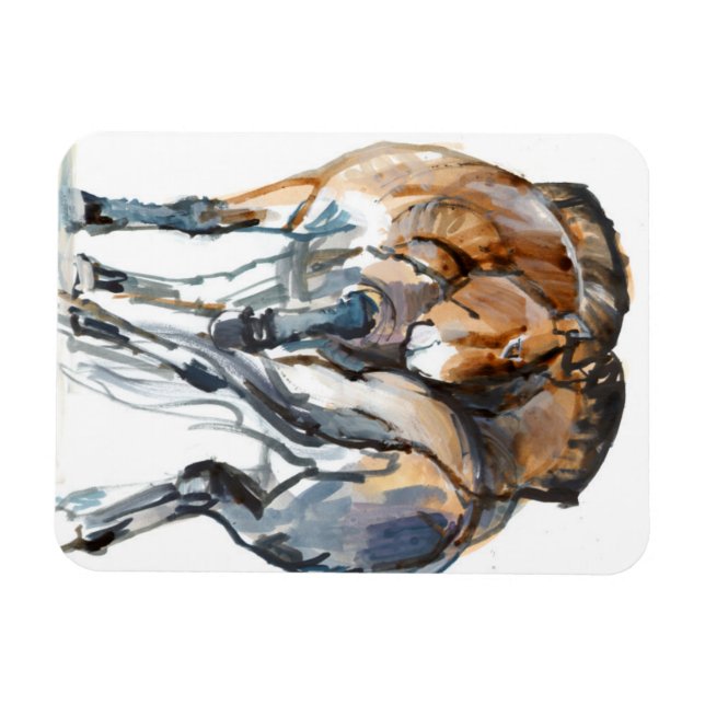 Imán Power Dance (Horizontal)