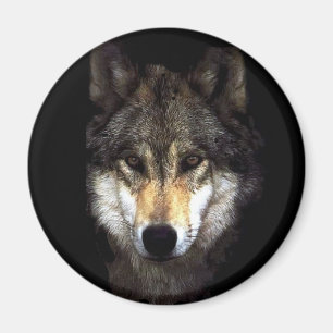 Imán powerwolf
