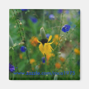 Imán Pradera Coneflower