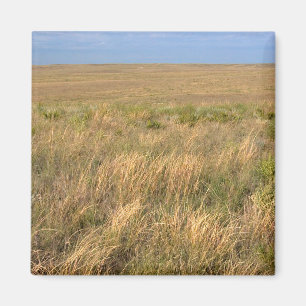 Imán Pradera de pastizales al este de Sidney, Nebraska.