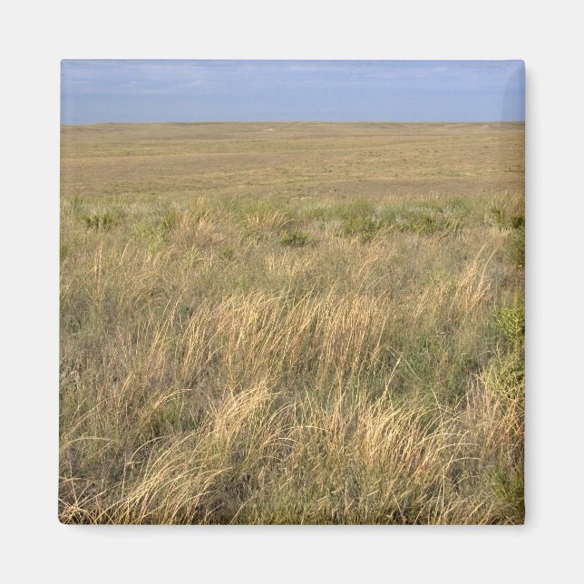 Imán Pradera de pastizales al este de Sidney, Nebraska. (Frente)