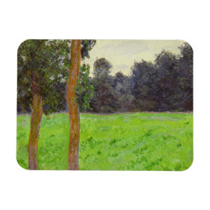 Imán Pradera del la de los dans de Claude Monet el  