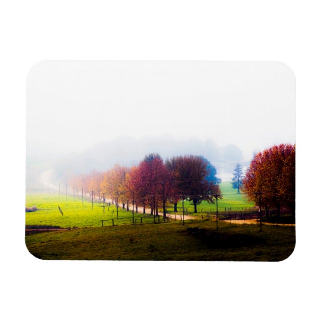 Imán Prado brumoso en otoño (Horizontal)