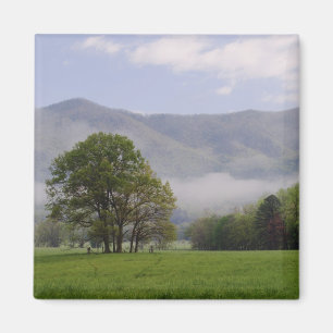 Imán Prado brumoso y Rich Mountain, Cades Cove,