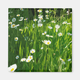 Imán Prado de flores