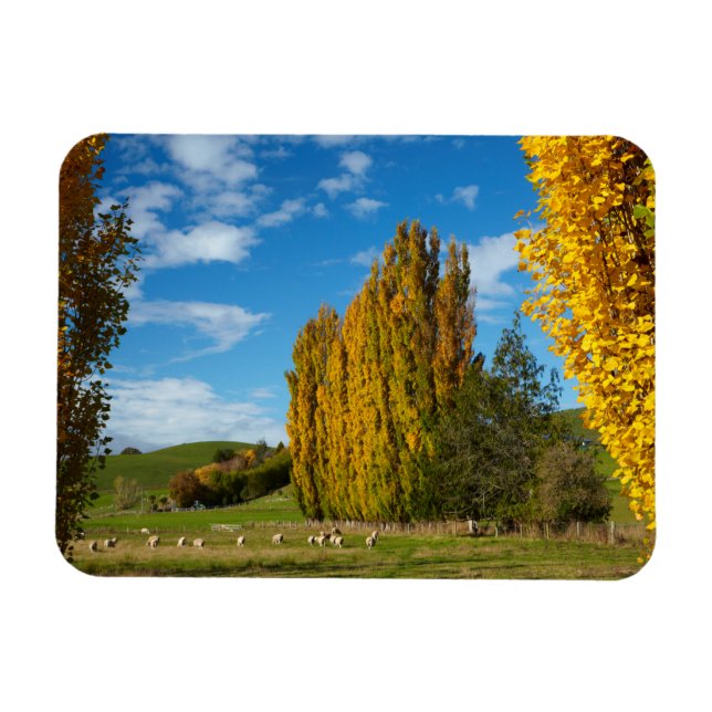 Imán Prado de granja con ovejas (Horizontal)