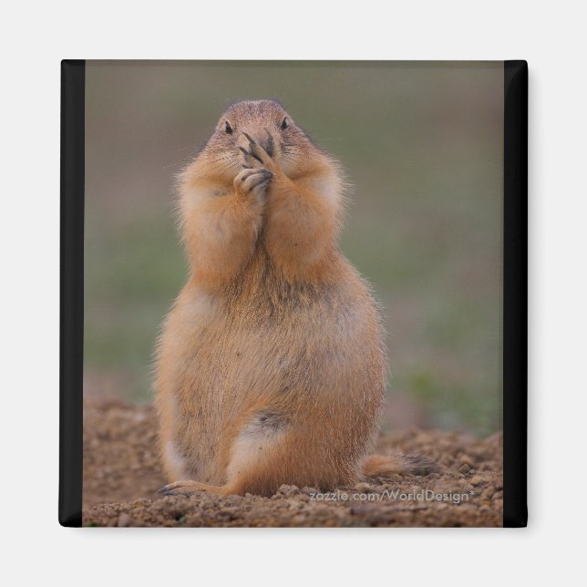 Imán Prairie Dog (Frente)