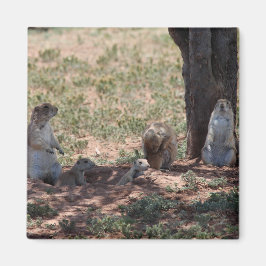Imán Prairie Dog Family