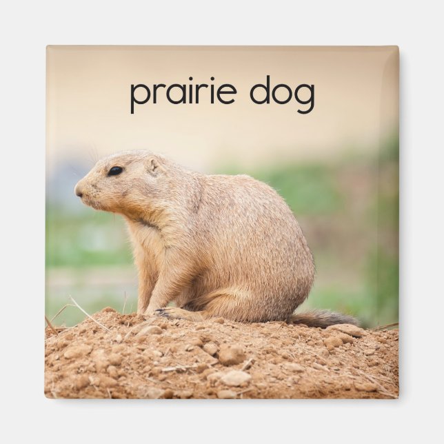 Imán Prairie Dog Refrigerator Magnet (Frente)