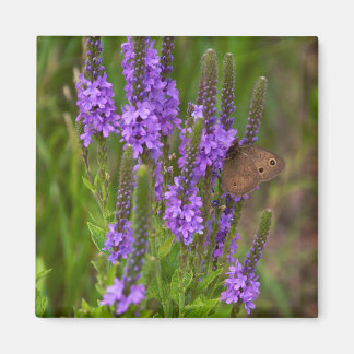 Imán Prairie Flower y Butterfly Magnet