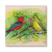 Preciosa pintura en acuarela de tangaras escarlata