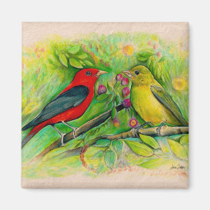 Imán Preciosa pintura en acuarela de tangaras escarlata
