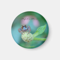 Premio Perfect in Nature