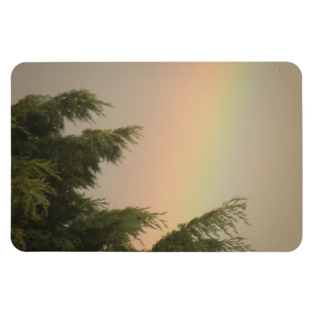 Imán premium arcoiris y árboles (Horizontal)