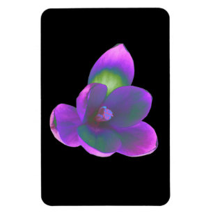 Imán premium de flor crocus de belleza mística