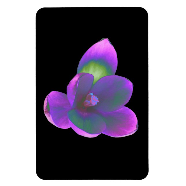 Imán premium de flor crocus de belleza mística (Vertical)