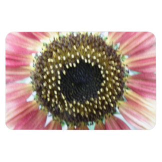 Imán premium de girasol rosado de bonito