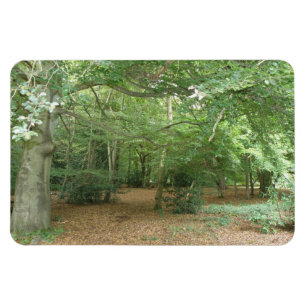 Imán premium de limpieza de bosques