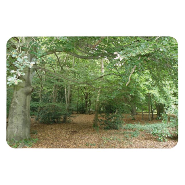 Imán premium de limpieza de bosques (Horizontal)