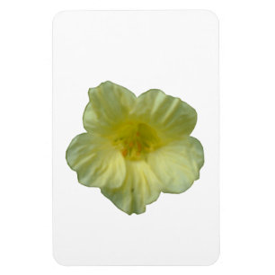 Imán Premium de Nasturtium